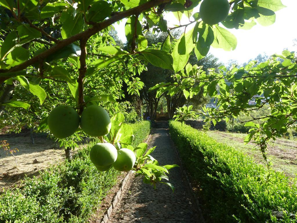 Bio Hotel - Hotel Quinta Da Serra Камара-де-Лобуш Экстерьер фото
